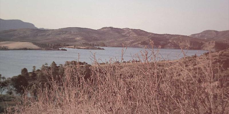 AI赋能个性化学习：智能教育平台如何精准诊断K12学情并定制职业发展路径