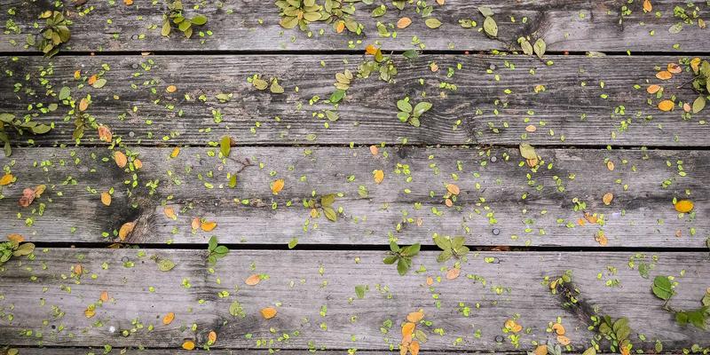 人工智能赋能个性化学习：自适应教育平台如何重塑职业发展与教育资源分配