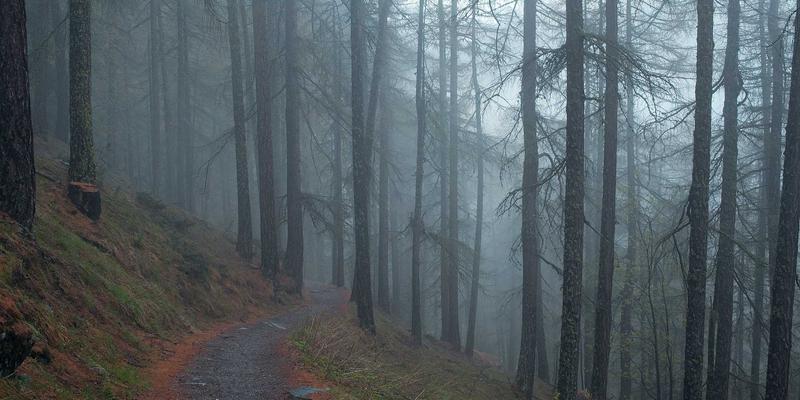 从K12到职业发展：社会情感学习如何塑造心理健康与高等教育成功之路