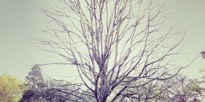 从K12到高等教育：教育资讯如何重塑学习决策与行业生态