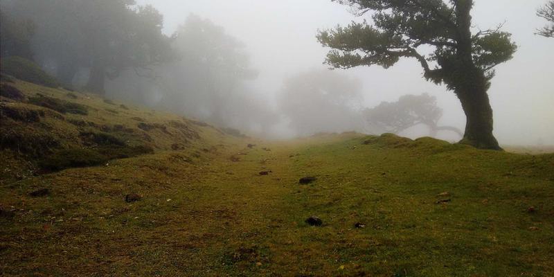 从新手到专家：K12教师专业发展路径与教学指导体系构建