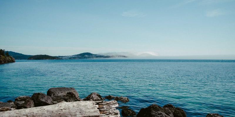 双减政策下课后服务新路径：素质教育与学科拓展的深度融合实践