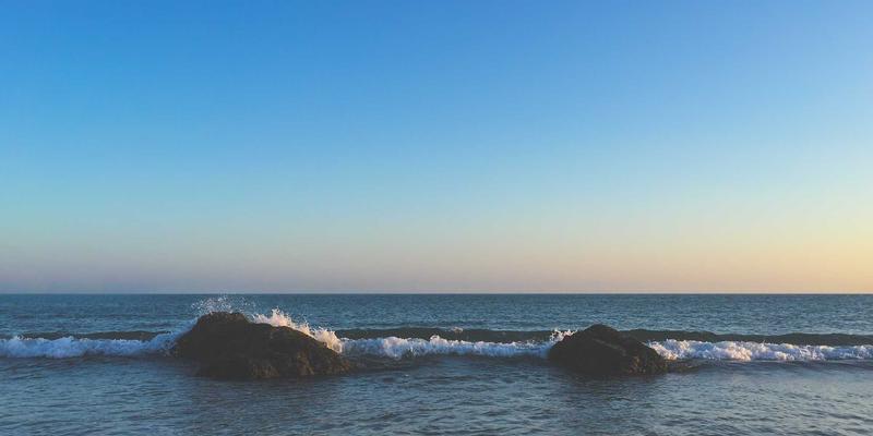 教学指导新方向：中小学如何系统化融入坚韧、合作与领导力教育