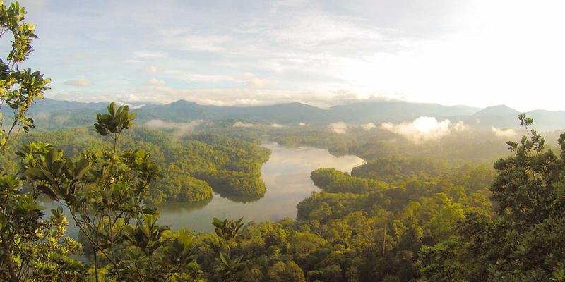 教育神经科学前沿：基于脑科学原理的K12在线学习策略与课堂设计