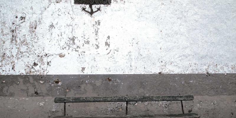 教育资讯10：整合优质教育资源，把握高等教育发展新动向