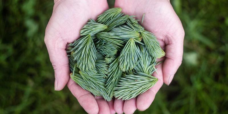 教育资讯77:解锁优质学习资源,构建终身教育资源生态