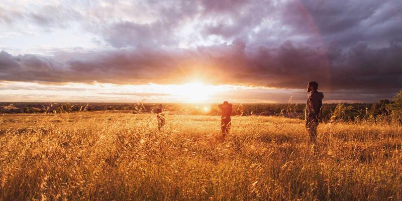 高等教育新引擎：现代产业学院建设模式如何重塑人才培养质量评价体系