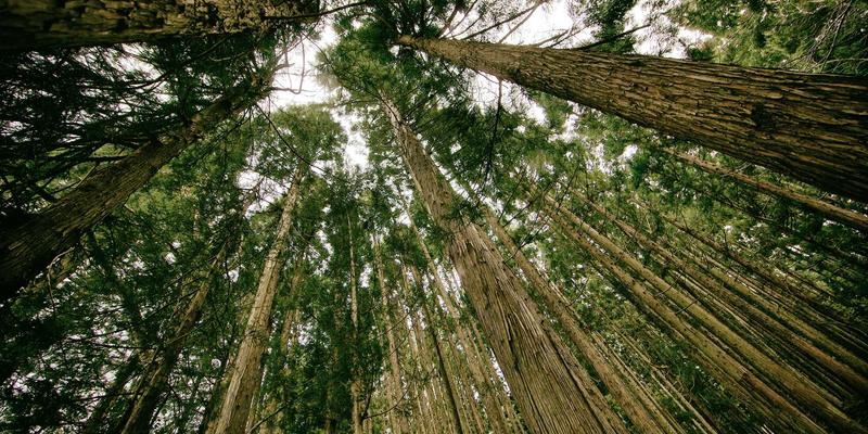 高等教育评价改革破冰：过程性数据与增值性评价如何重塑学习资源价值